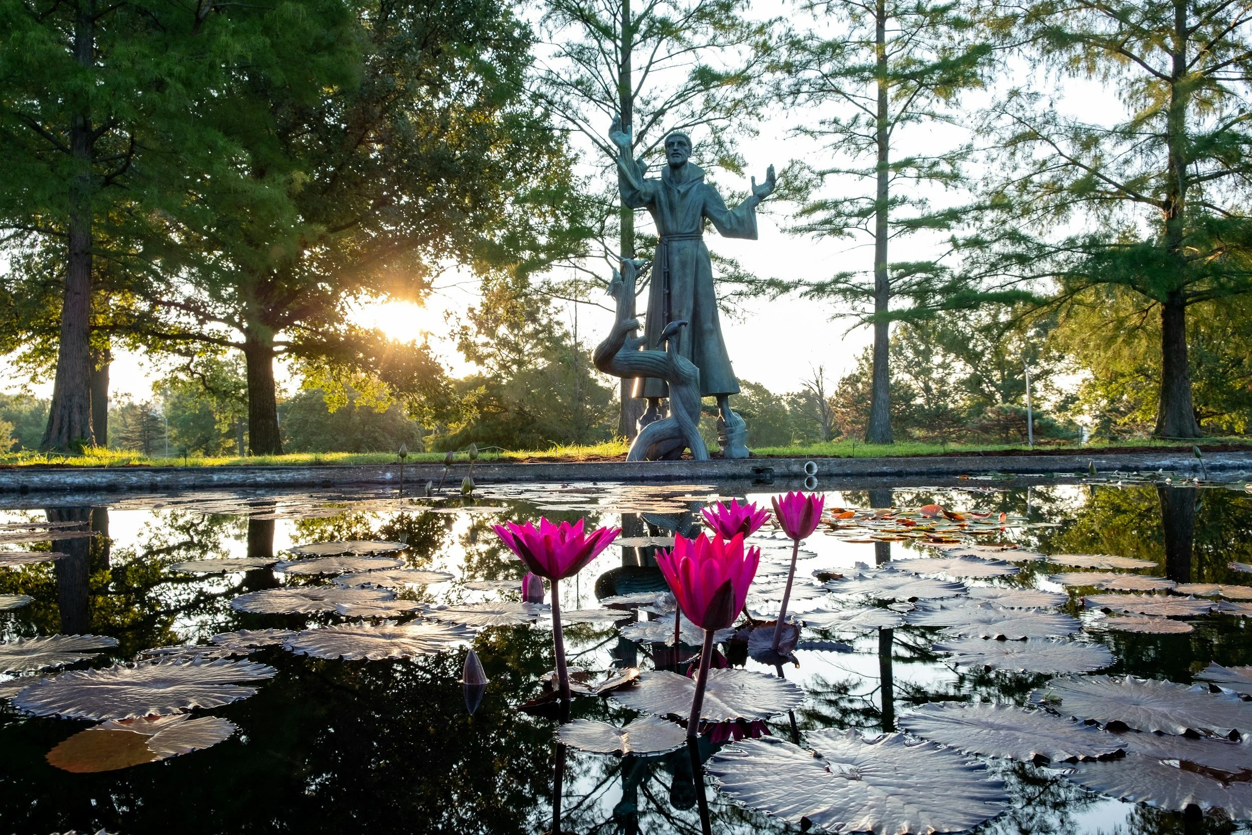 Forest Park